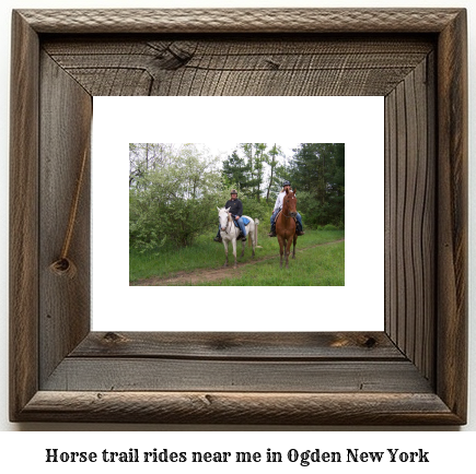 horse trail rides near me in Ogden, New York